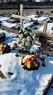 Захоронение ID 1351925