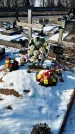 Захоронение ID 1351926