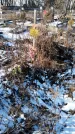 Захоронение ID 1351939