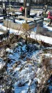 Захоронение ID 1351948