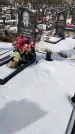 Захоронение ID 1352024