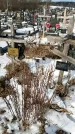 Захоронение ID 1352026
