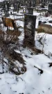Захоронение ID 1352071