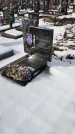 Захоронение ID 1352103