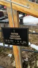 Захоронение ID 1352179