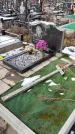 Захоронение ID 1352252