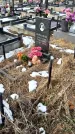 Захоронение ID 1352283