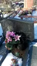 Захоронение ID 1352306
