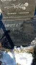 Захоронение ID 1352311