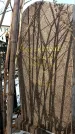 Захоронение ID 1352468