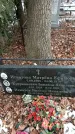 Захоронение ID 1352508