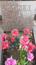 Захоронение ID 1352716