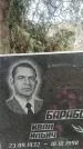 Захоронение ID 1352736