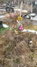Захоронение ID 1352747