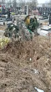 Захоронение ID 1352793