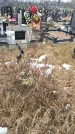 Захоронение ID 1352809