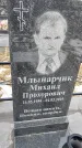 Захоронение ID 1352824