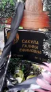 Захоронение ID 1352827