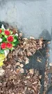 Захоронение ID 1352915