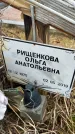 Захоронение ID 1352986