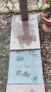 Захоронение ID 1353046