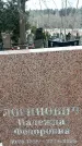 Захоронение ID 1353091