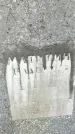 Захоронение ID 1353093
