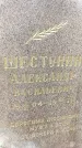 Захоронение ID 1353099