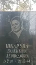 Захоронение ID 1353105