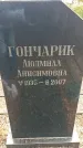 Захоронение ID 1353114