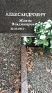 Захоронение ID 1353184