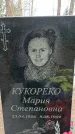 Захоронение ID 1353297