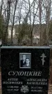 Захоронение ID 1353376