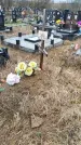 Захоронение ID 1353493