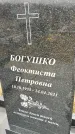 Захоронение ID 1353497