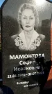 Захоронение ID 1353523