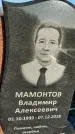 Захоронение ID 1353524