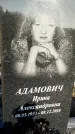 Захоронение ID 1353563