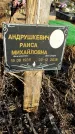 Захоронение ID 1353607