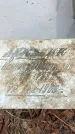 Захоронение ID 1353643