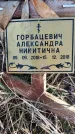 Захоронение ID 1353662