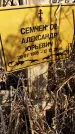 Захоронение ID 1353739