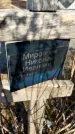 Захоронение ID 1353914