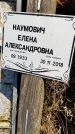 Захоронение ID 1353944