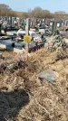 Захоронение ID 1354002