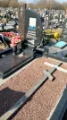 Захоронение ID 1354031