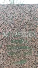Захоронение ID 1354047
