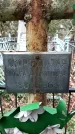 Захоронение ID 1354057