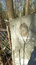 Захоронение ID 1354186