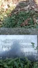 Захоронение ID 1354251